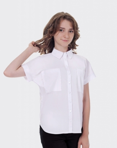 Блузка с цельнокроеным коротким рукавом 195-1